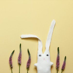 Brian Bunny - Cashmere